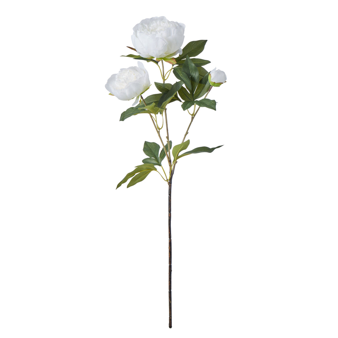 Peony Stem White 71cm