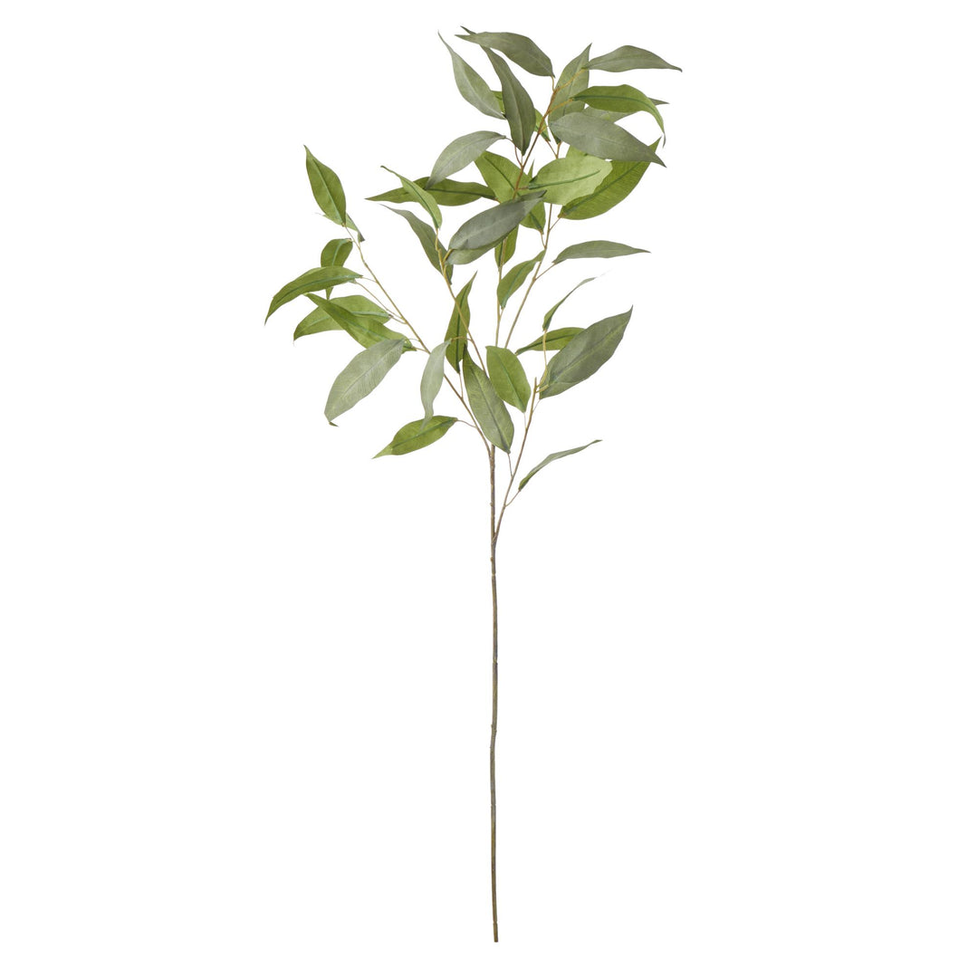Eucalyptus Stem 41x41x99cm
