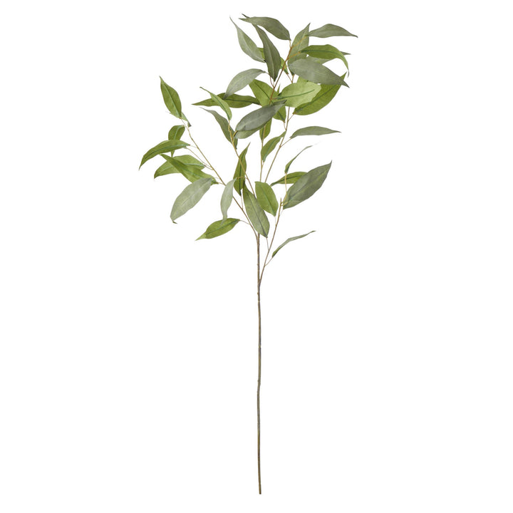 Eucalyptus Stem 41x41x99cm