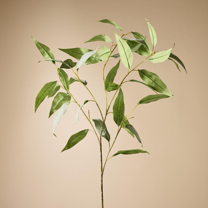 Eucalyptus Stem 41x41x99cm