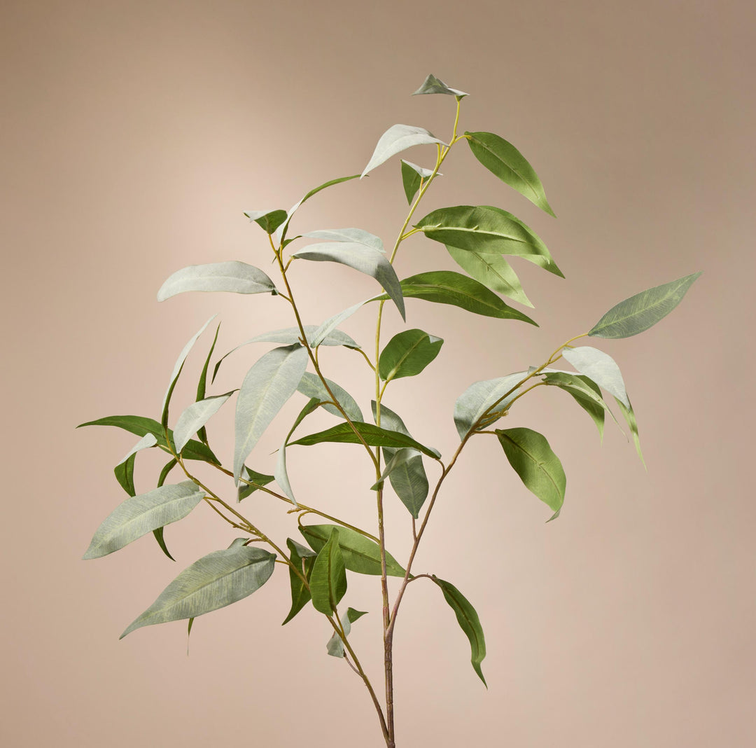 Eucalyptus Stem 41x41x99cm