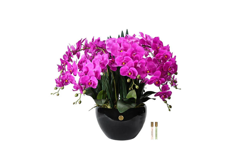 Purple Orchids - Very Large Pot