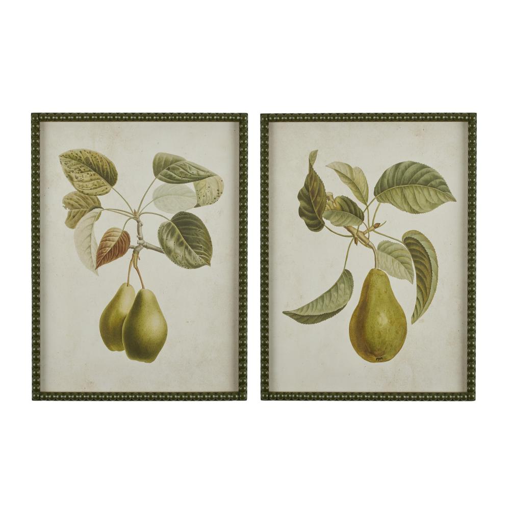 Pyrus Frame Glass Print 45x60cm Asst