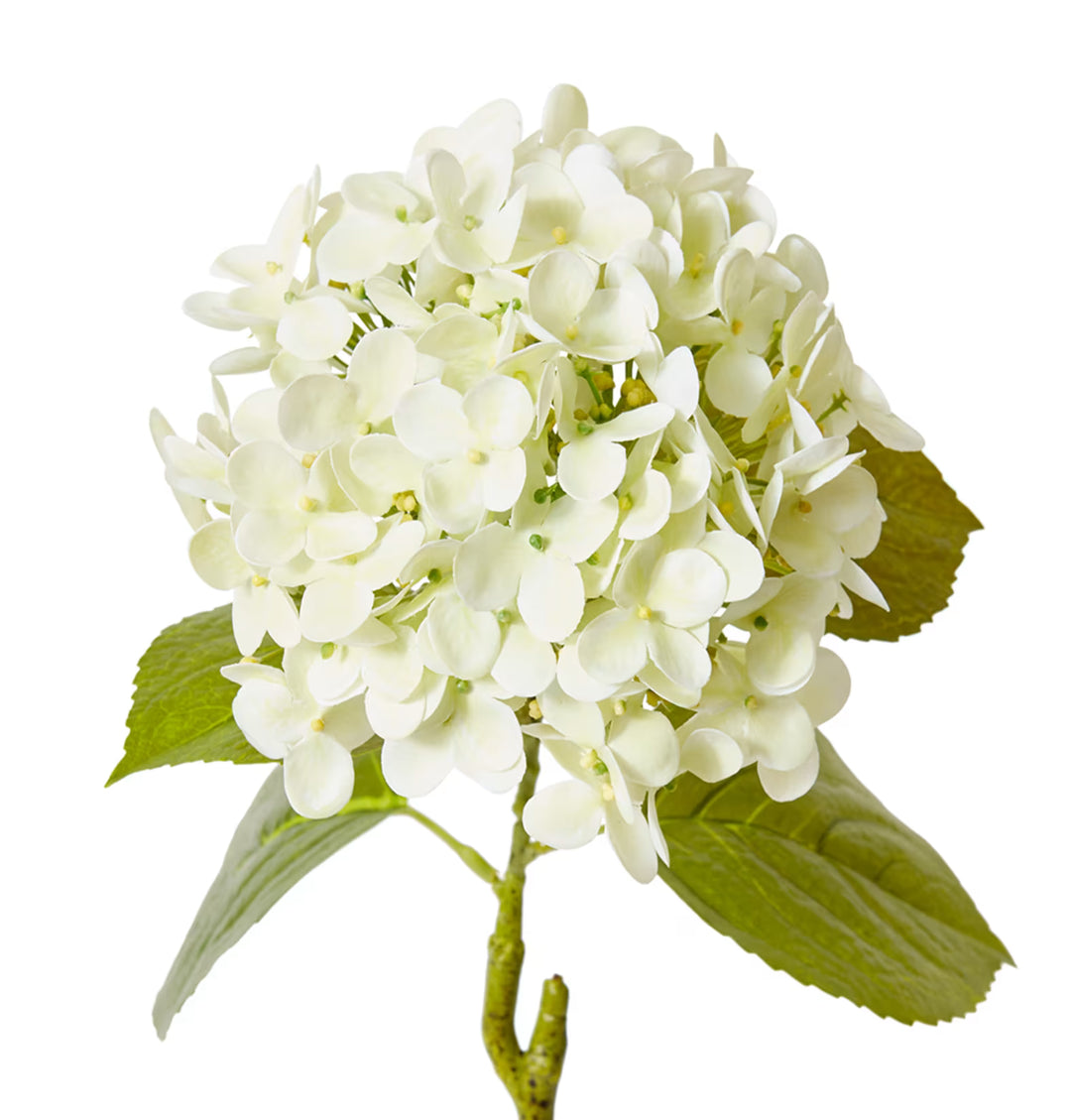 Hydrangea Garden Stem 26x20x61cm Soft Green