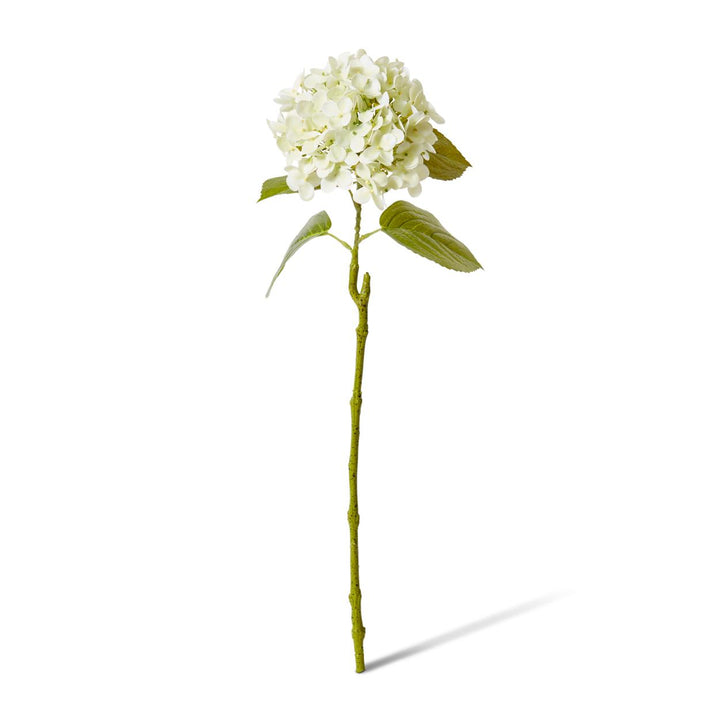 Hydrangea Garden Stem 26x20x61cm Soft Green