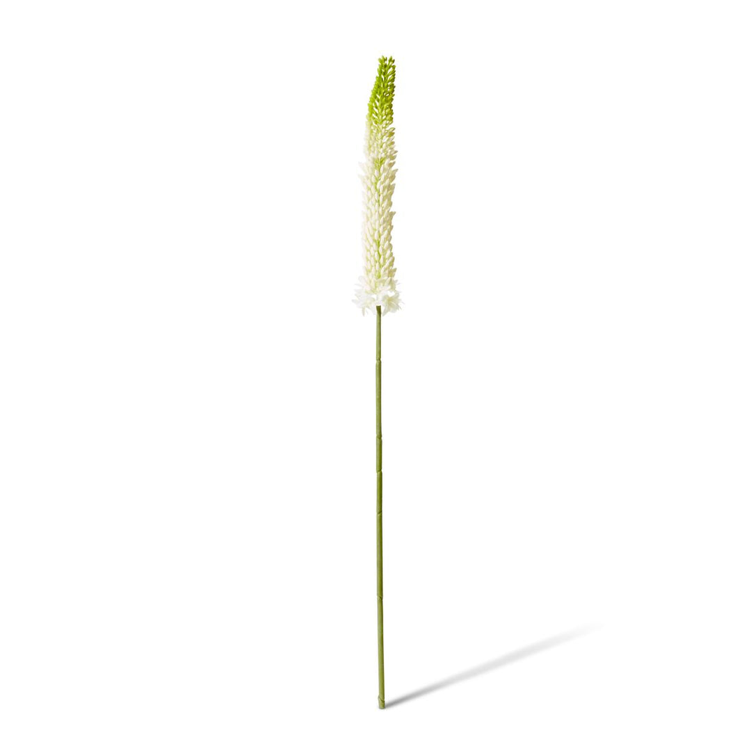 Foxtail Lily Stem 10x7x84cm Green/White