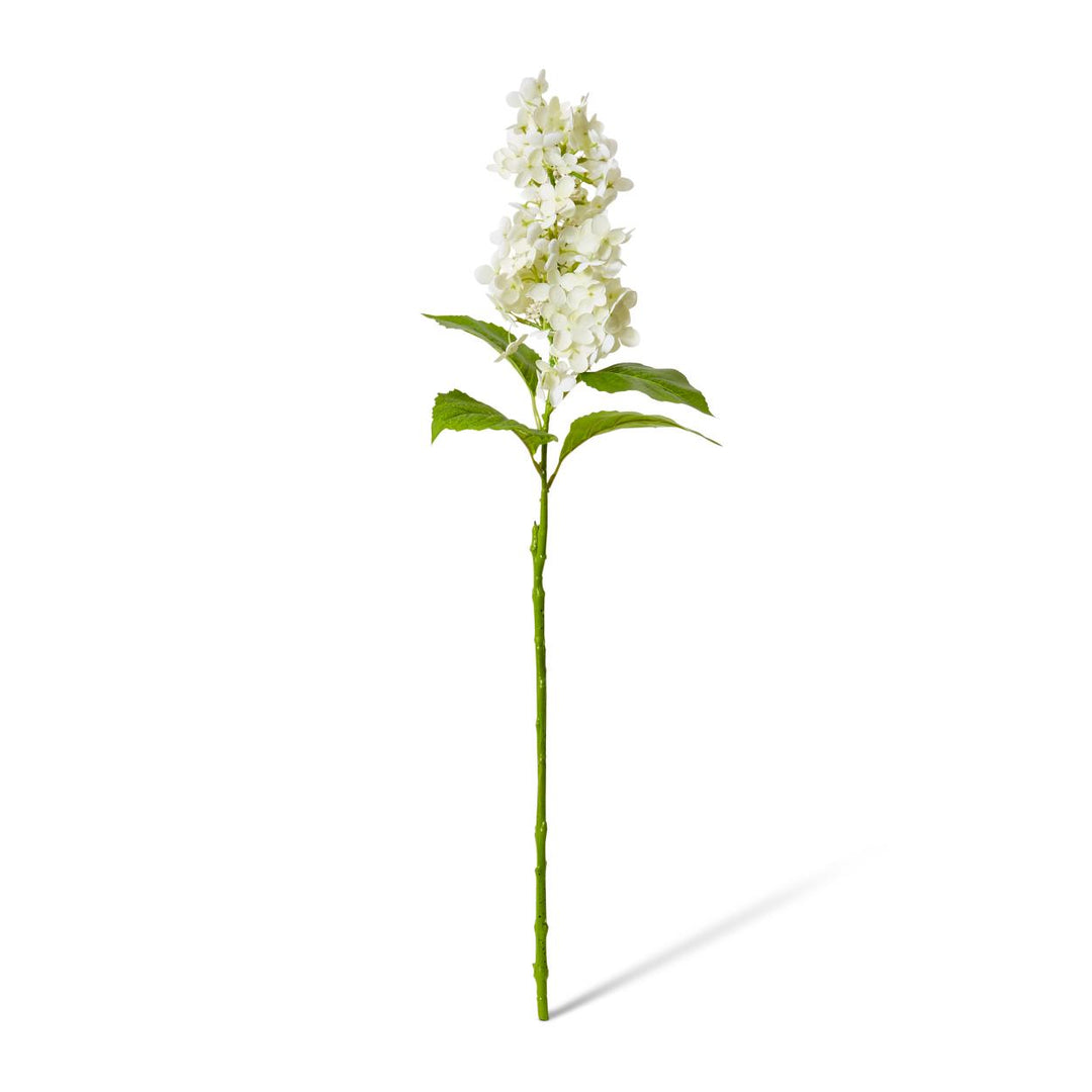 Cone Hydrangea (RT) 20x20x75cm White