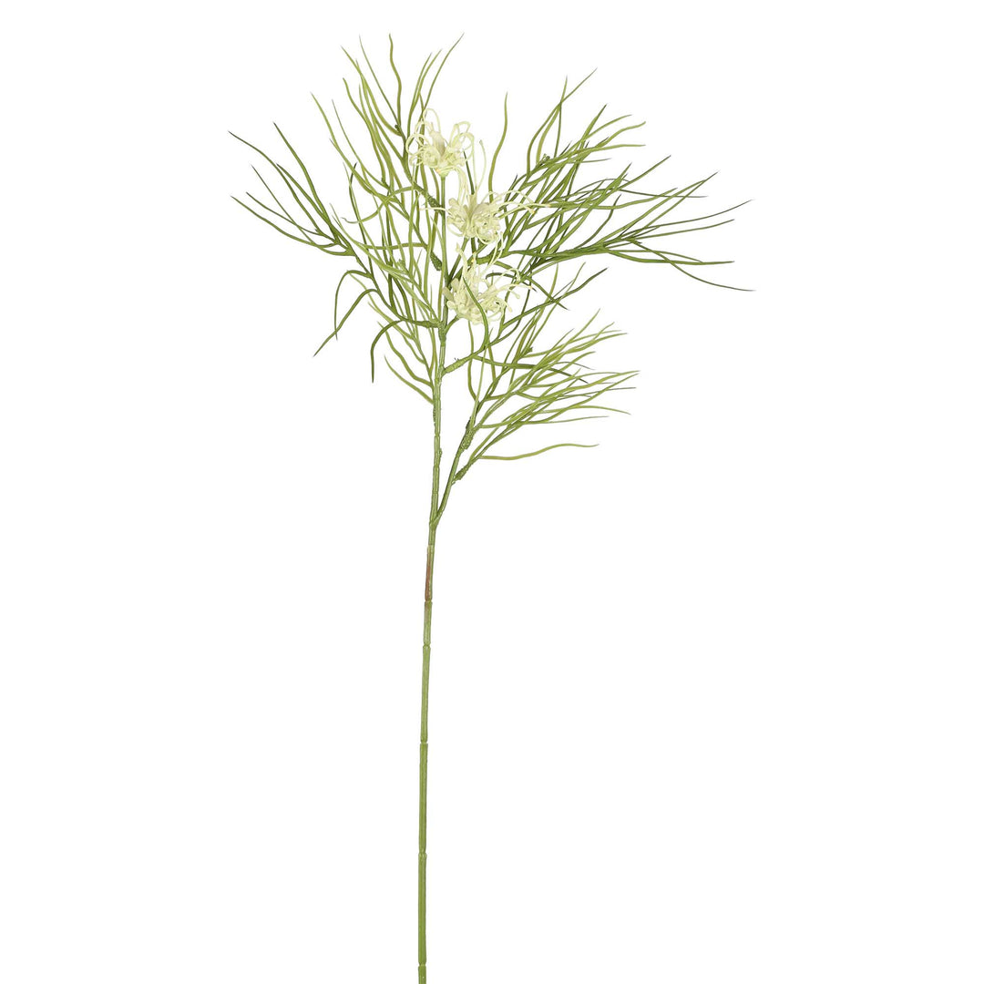 Leaf Grevillea White