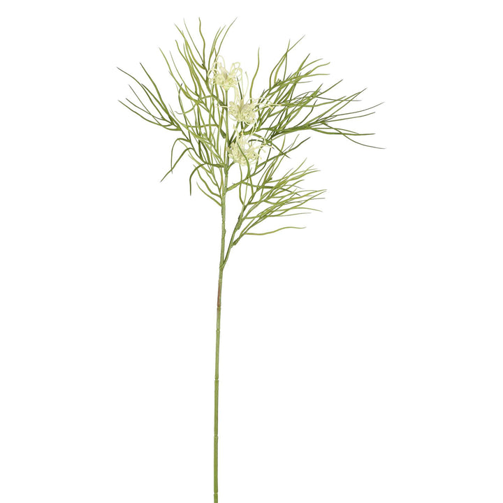 Leaf Grevillea White