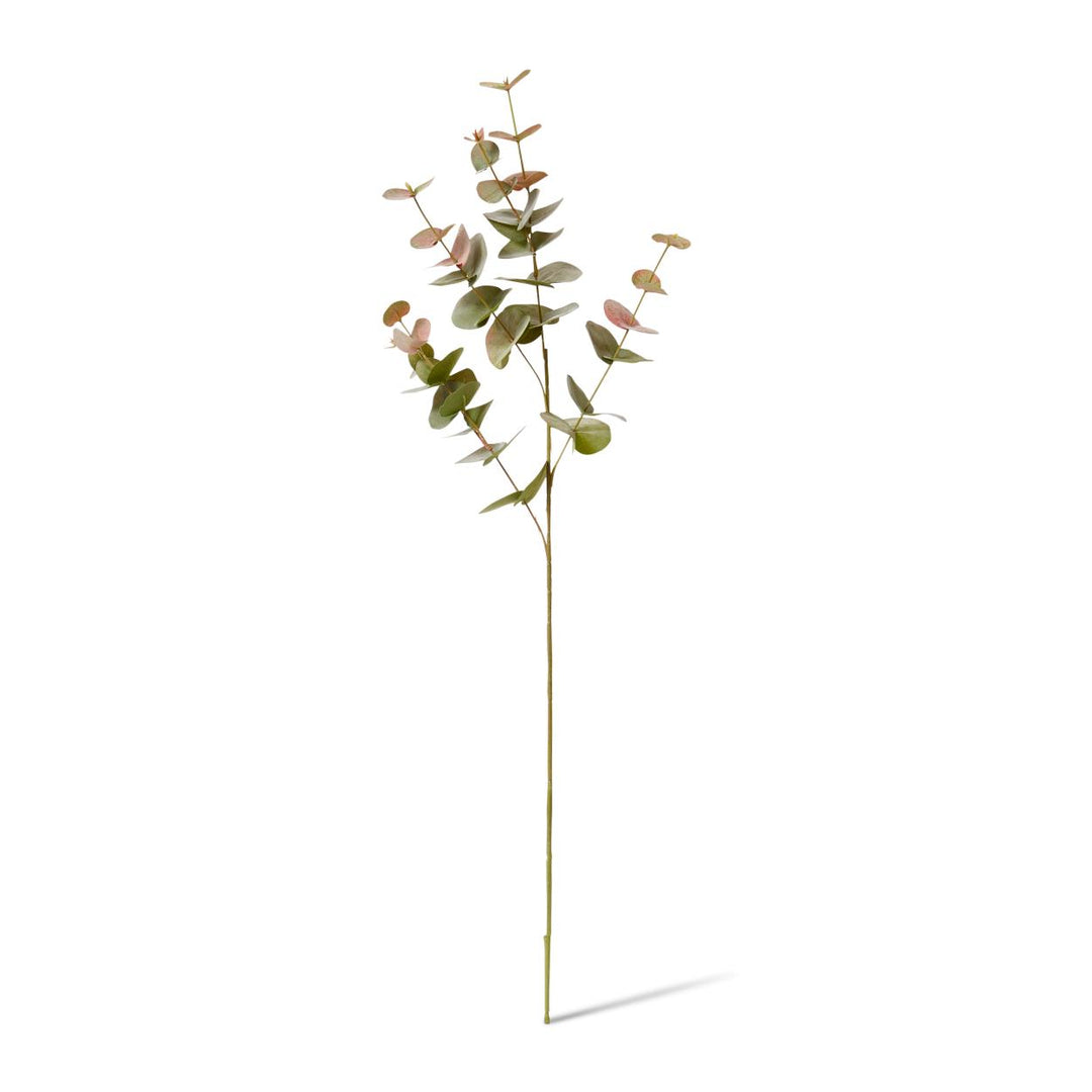 Eucalyptus Spray 25x14x86cm Green Pink