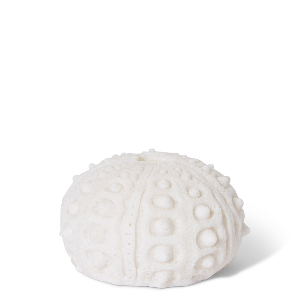 Coral Night Light Sea Urchin White 14x14x8cm