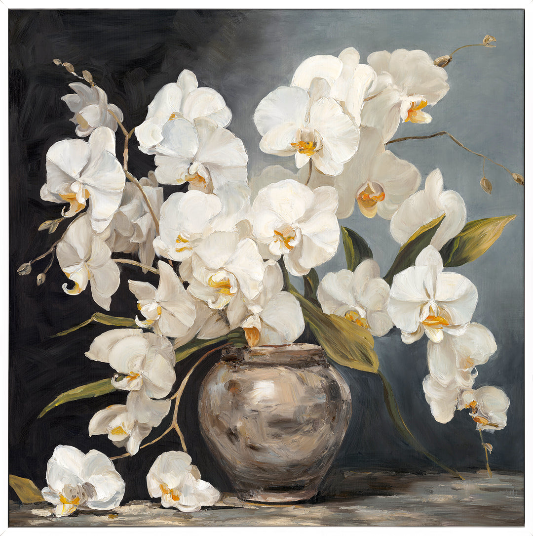 Phalaenopsis Orchids Grey 120x120cm
