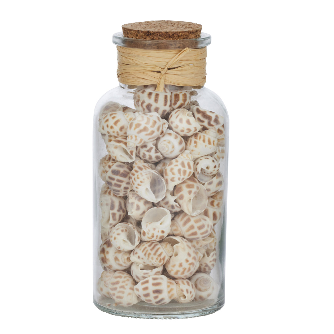 Nautica Seashells w Glass Jar 8x15.5cm