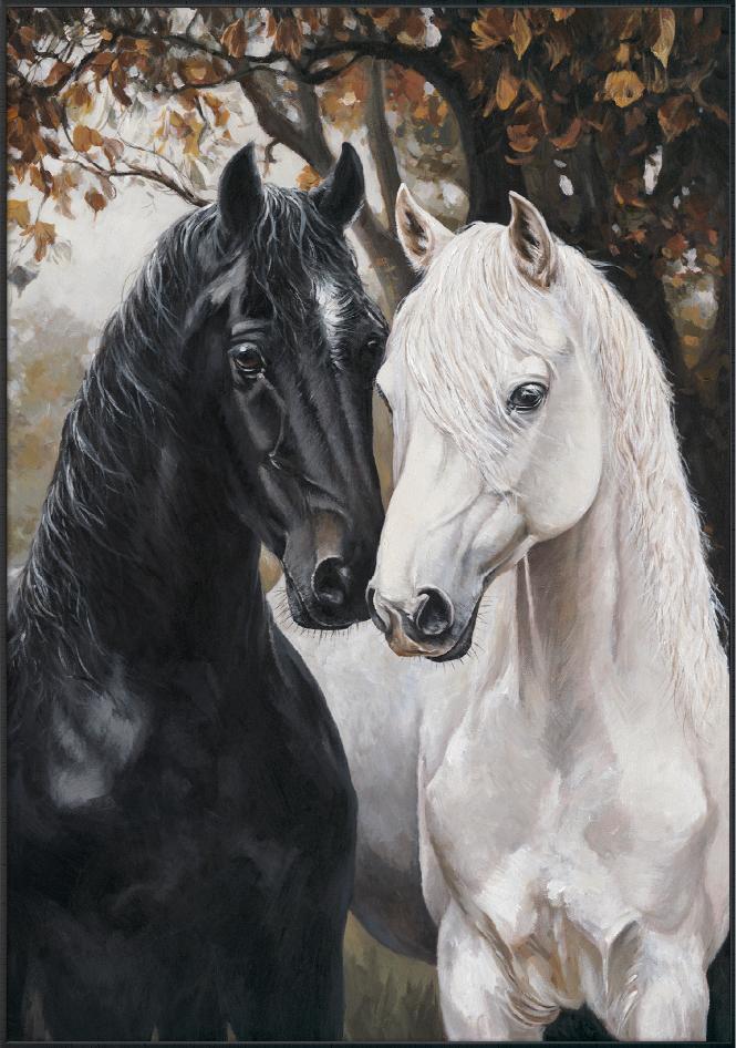 Ebony & Ivory Horses 70x100cm