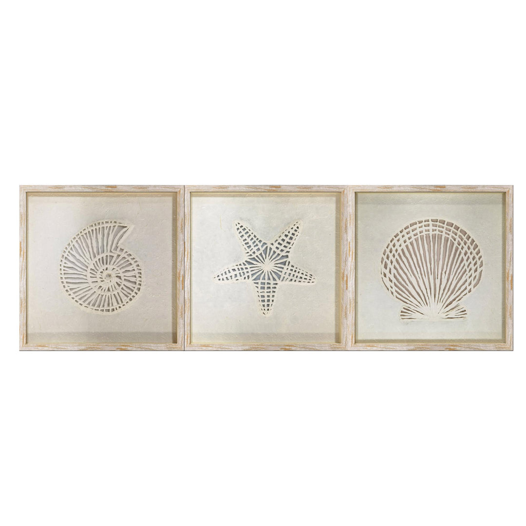 Chelsea Natural Taupe Shell Art 3Ass