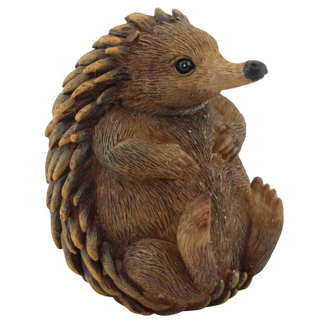 Native Echidna 6.5x5.5x7cm