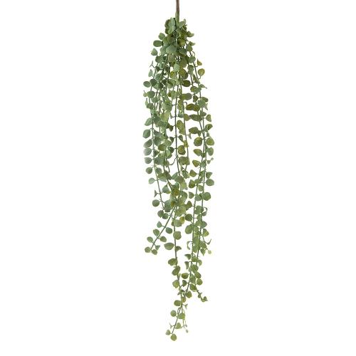Succulent Hanging Vine 85cm