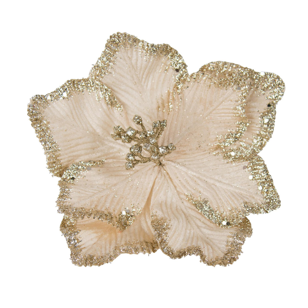 Clip On Magnolia Champagne Gld Gltter Edge 25x6.5cm