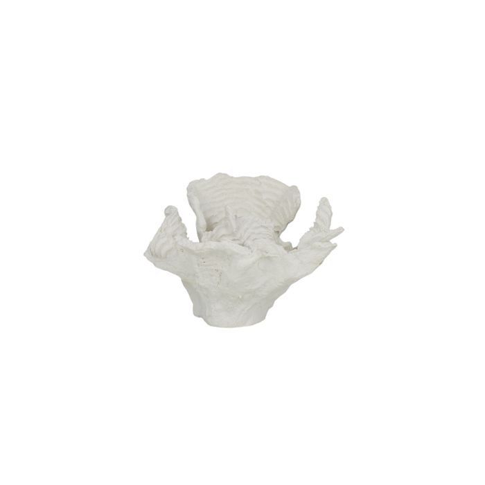 Foliose Coral Resin Sculp 15x15x10cm Wht