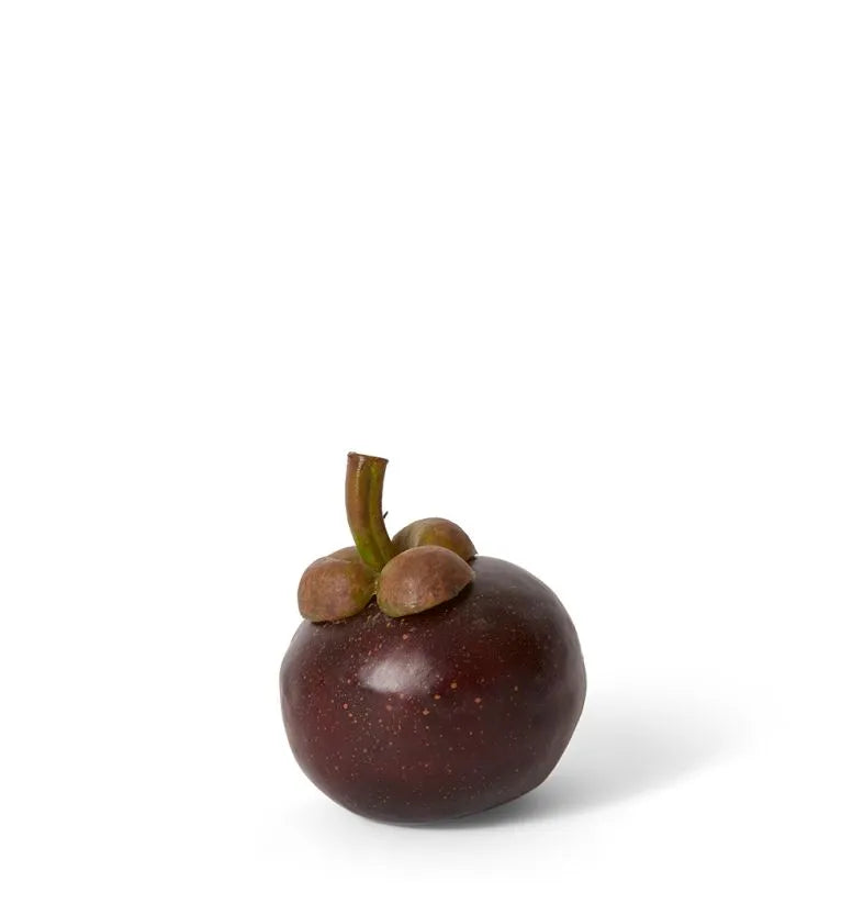 Mangosteen 7x7x8cm Burgundy