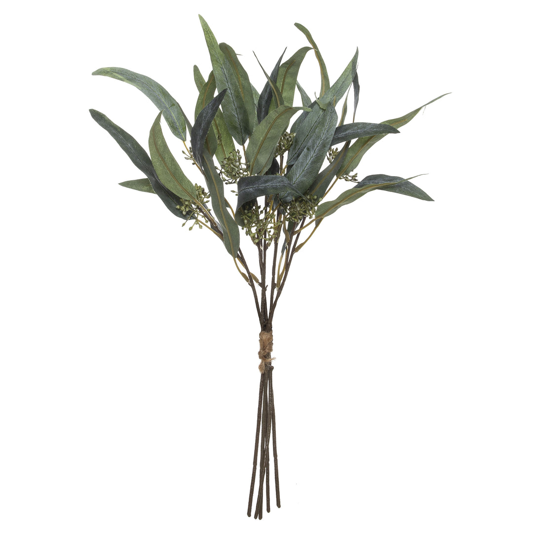 Seeding Eucalyptus Bunch Green 47cm