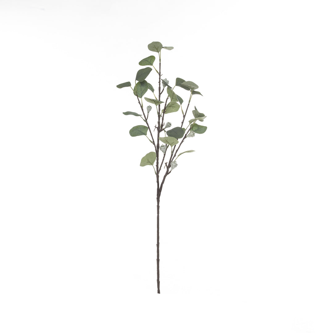 Eucalyptus Pod Spray 67cm Green