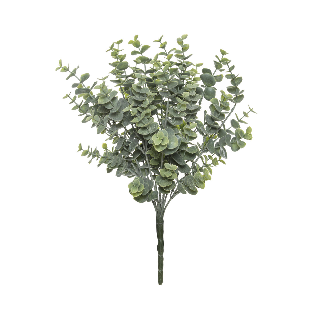 Squat Eucalyptus Bush 36cm Green