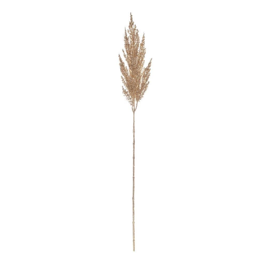 Pampas Spray Champagne 81cm