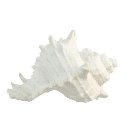 White Resin Sea Snail Shell