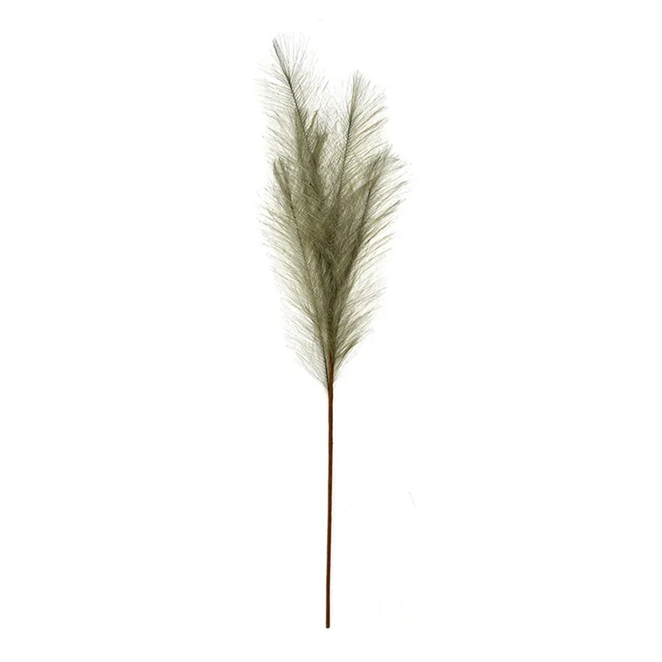 Pampas Grass Sage