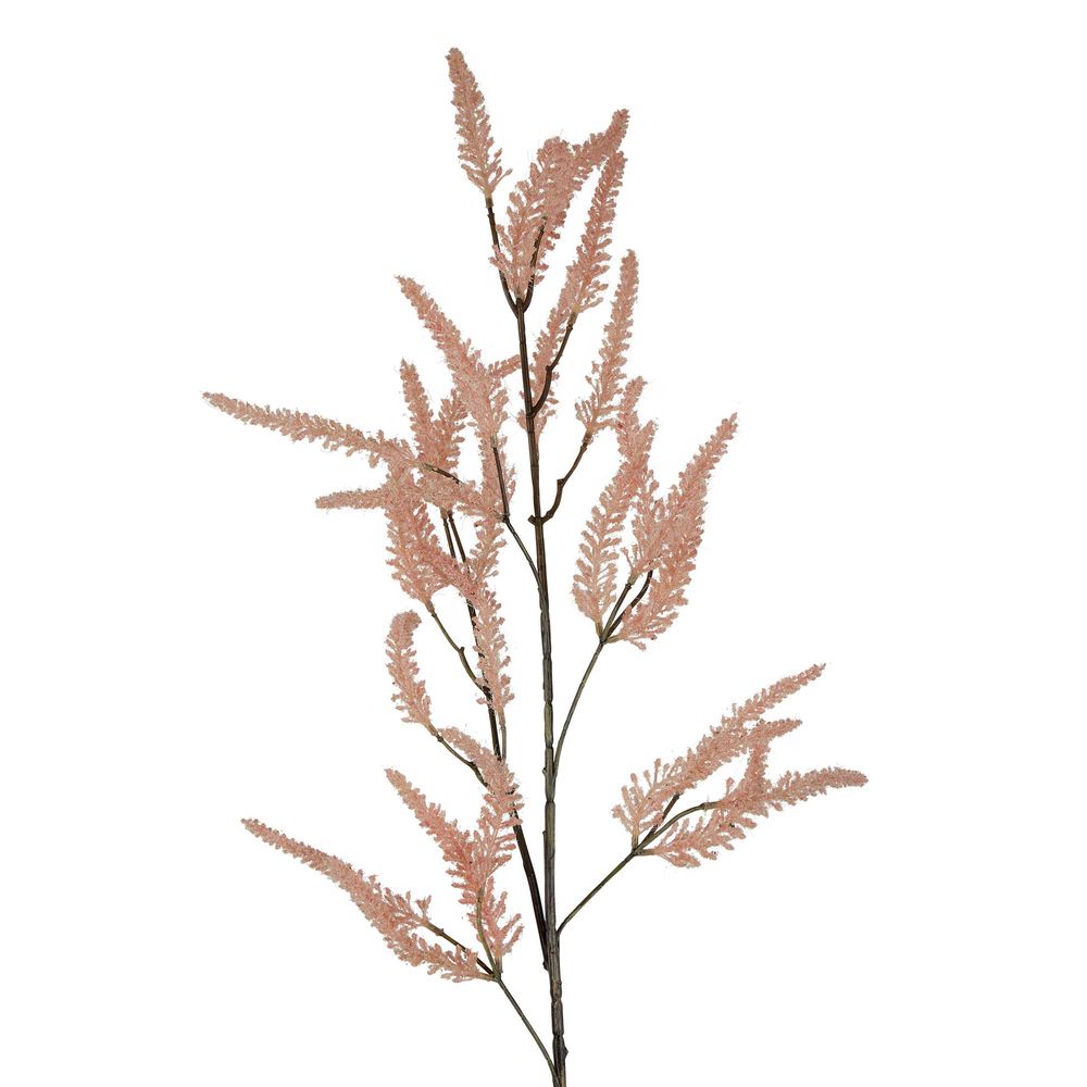 Dried Grass Frond 1m Pink