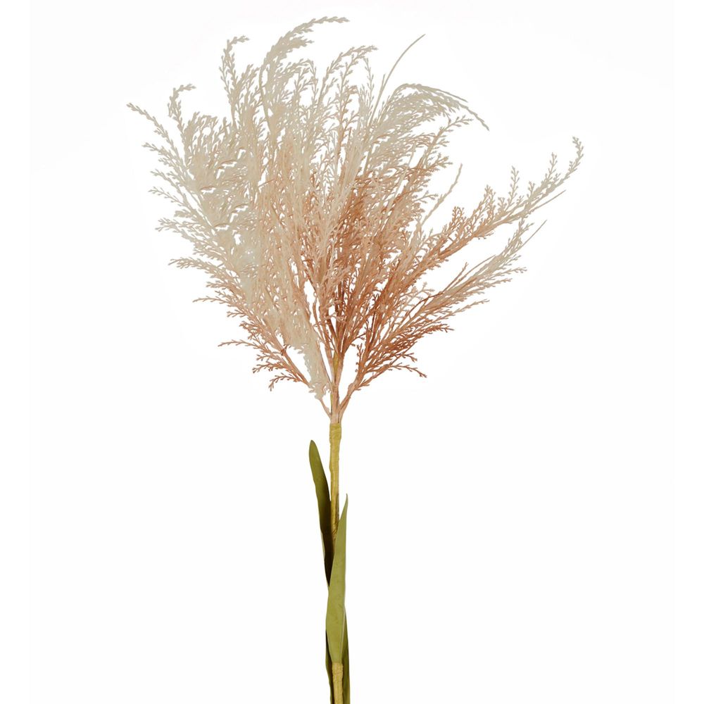 Natural Pampas Spray Stem 1.1m