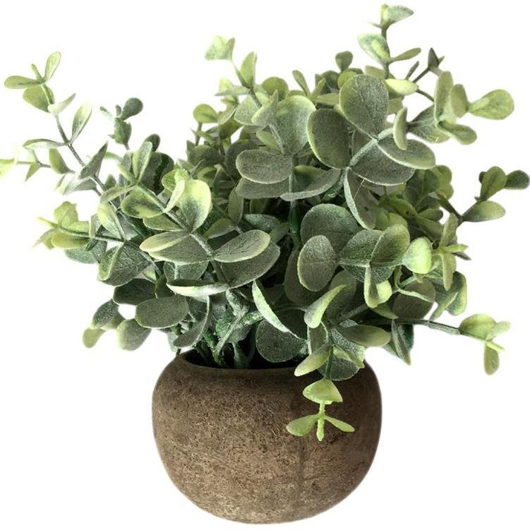 Eucalypt Bunch Natural Round Pot