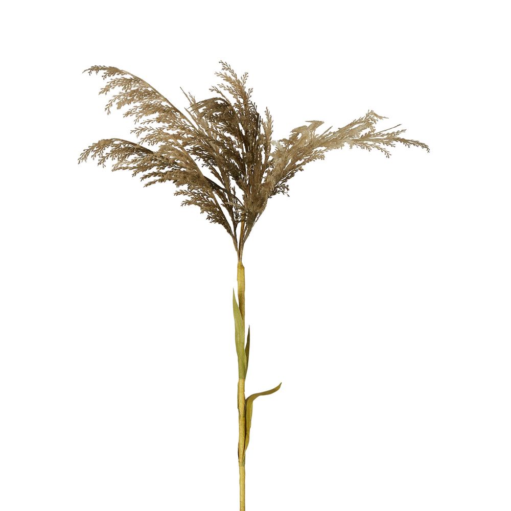 Grey Pampas Spray Stem