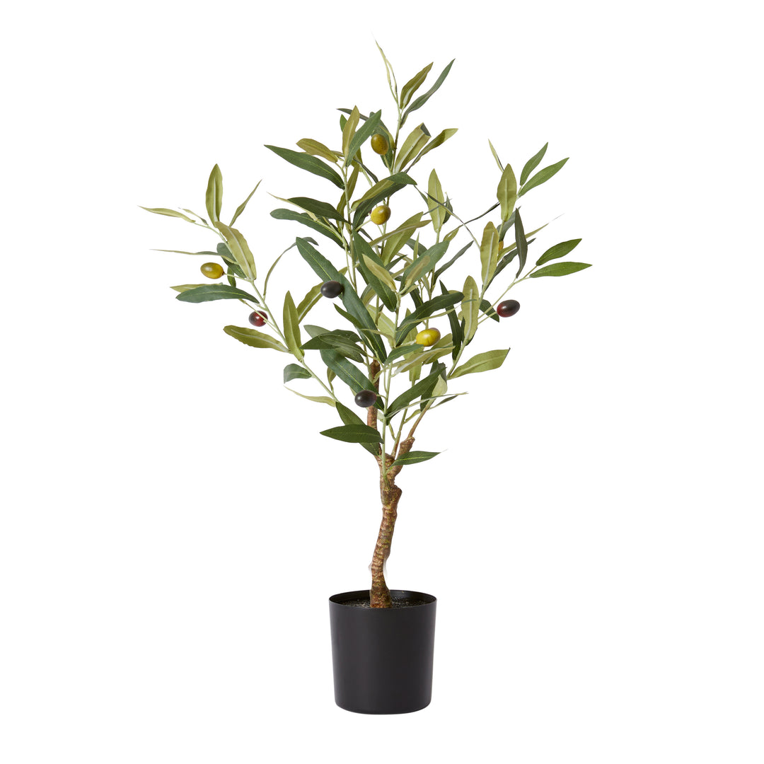 Olive Tree 33x33x61cm Grey Green
