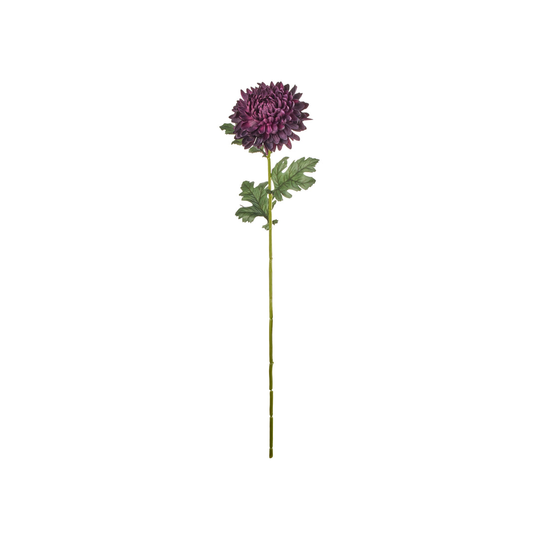 Chrysanthemum Stem (RT) 20x20x74cm Purple/Black