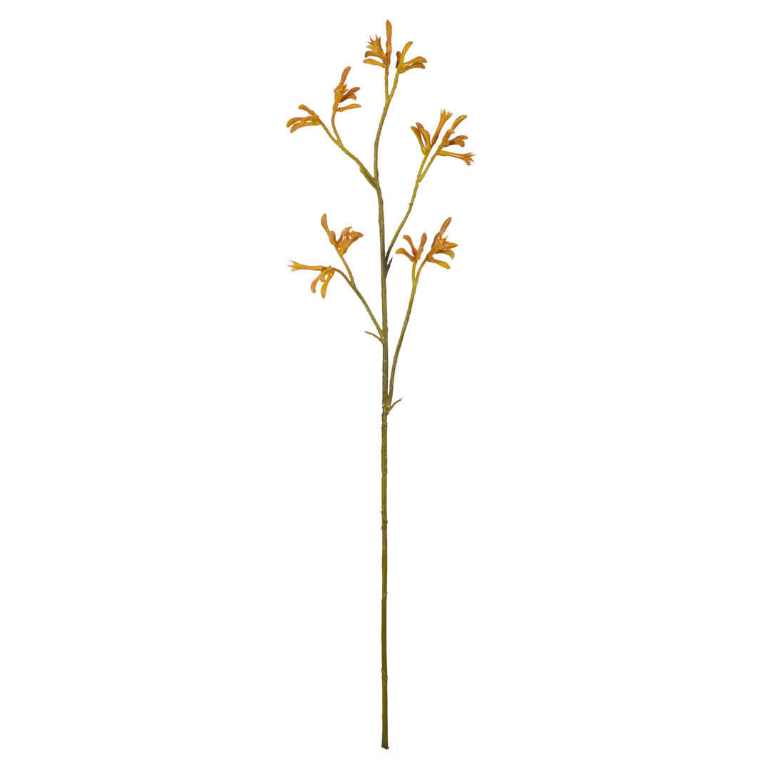 Kangaroo Paw Spray 84x16x4cm Yellow