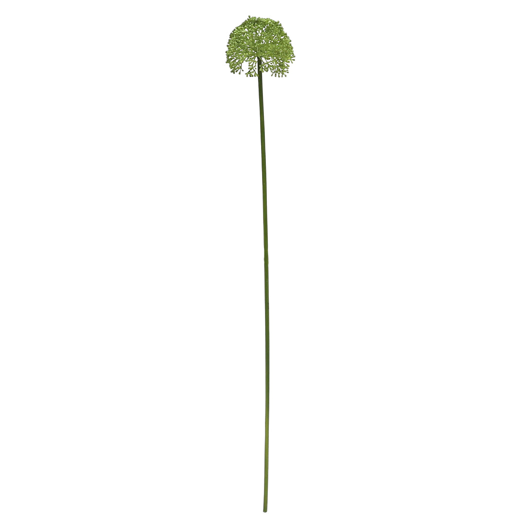 Buddleia Stem 8x10x59cm Green