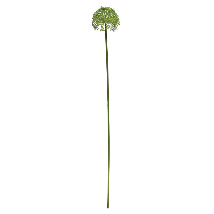 Buddleia Stem 8x10x59cm Green