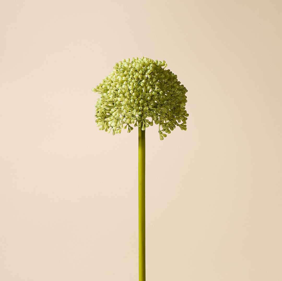 Buddleia Stem 8x10x59cm Green