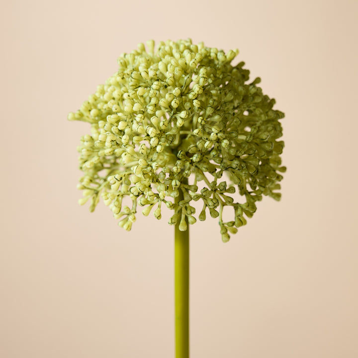 Buddleia Stem 8x10x59cm Green