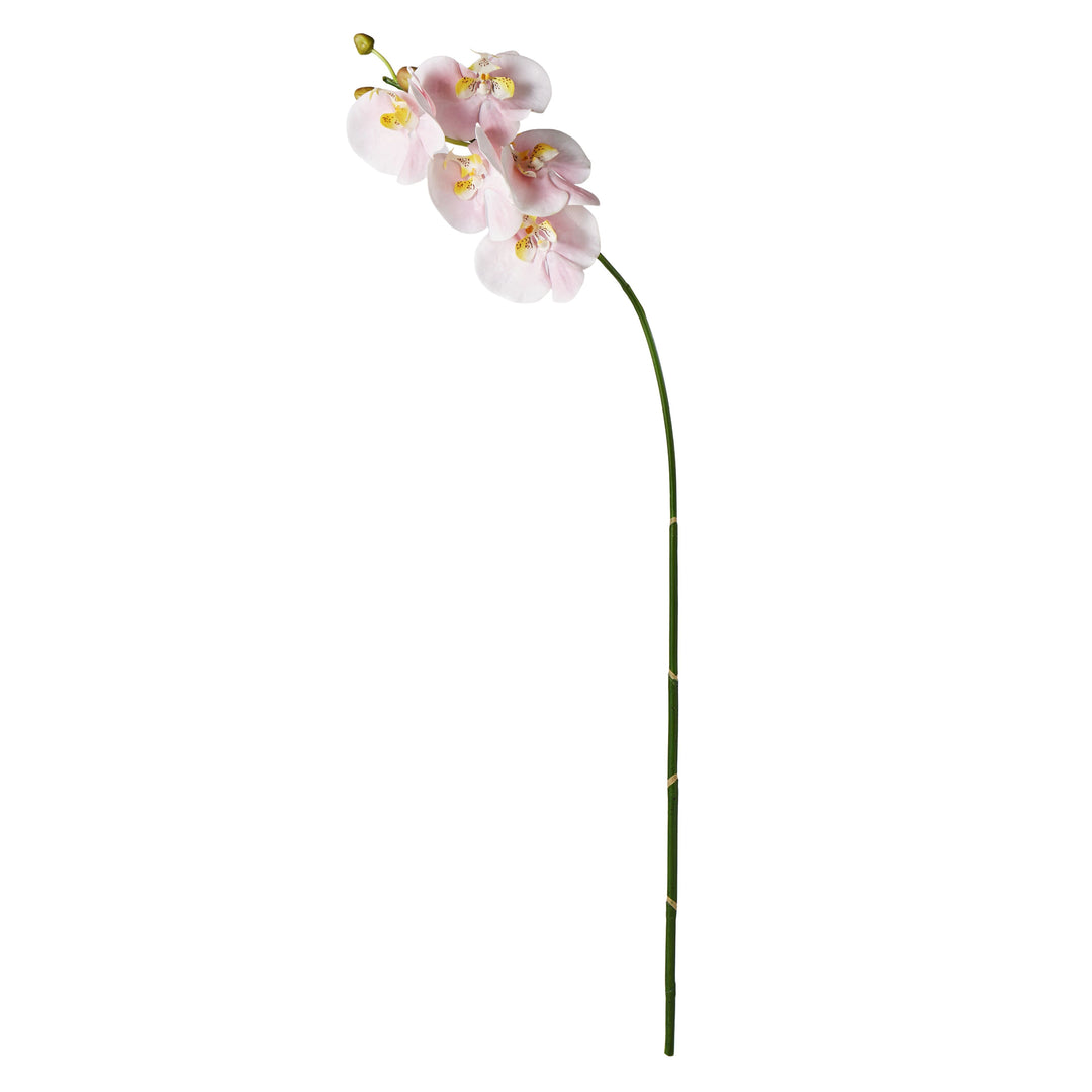 Phalaenopsis Stem Soft Pink 88cm
