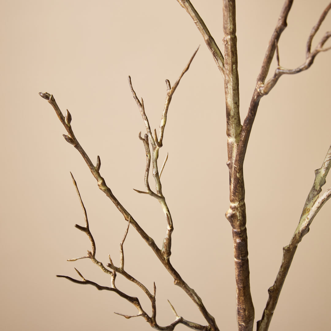 Twig Branch 9x15x108cm
