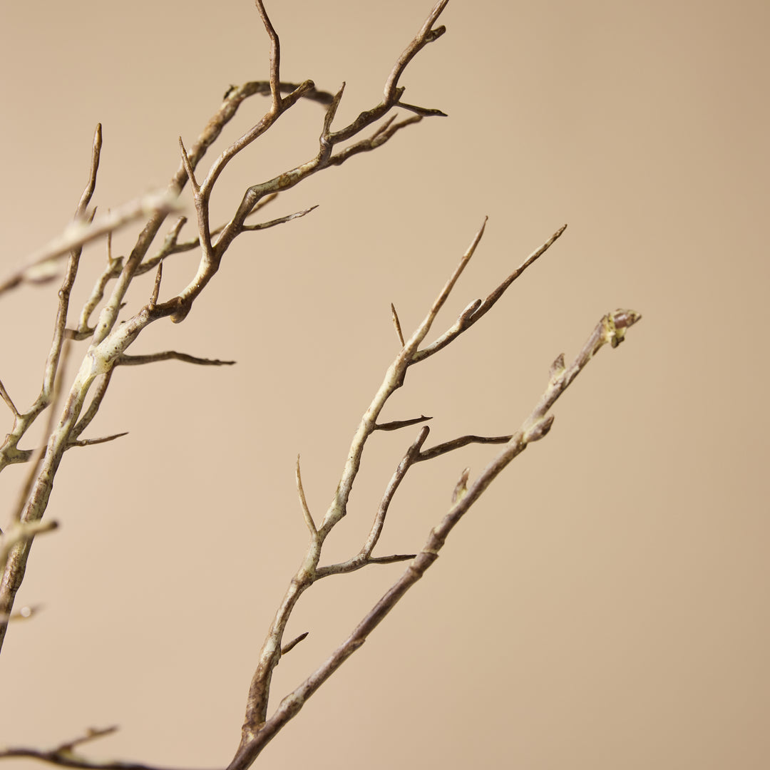Twig Branch 9x15x108cm