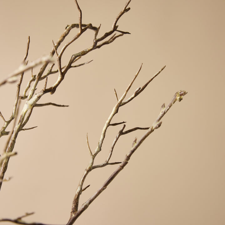 Twig Branch 9x15x108cm