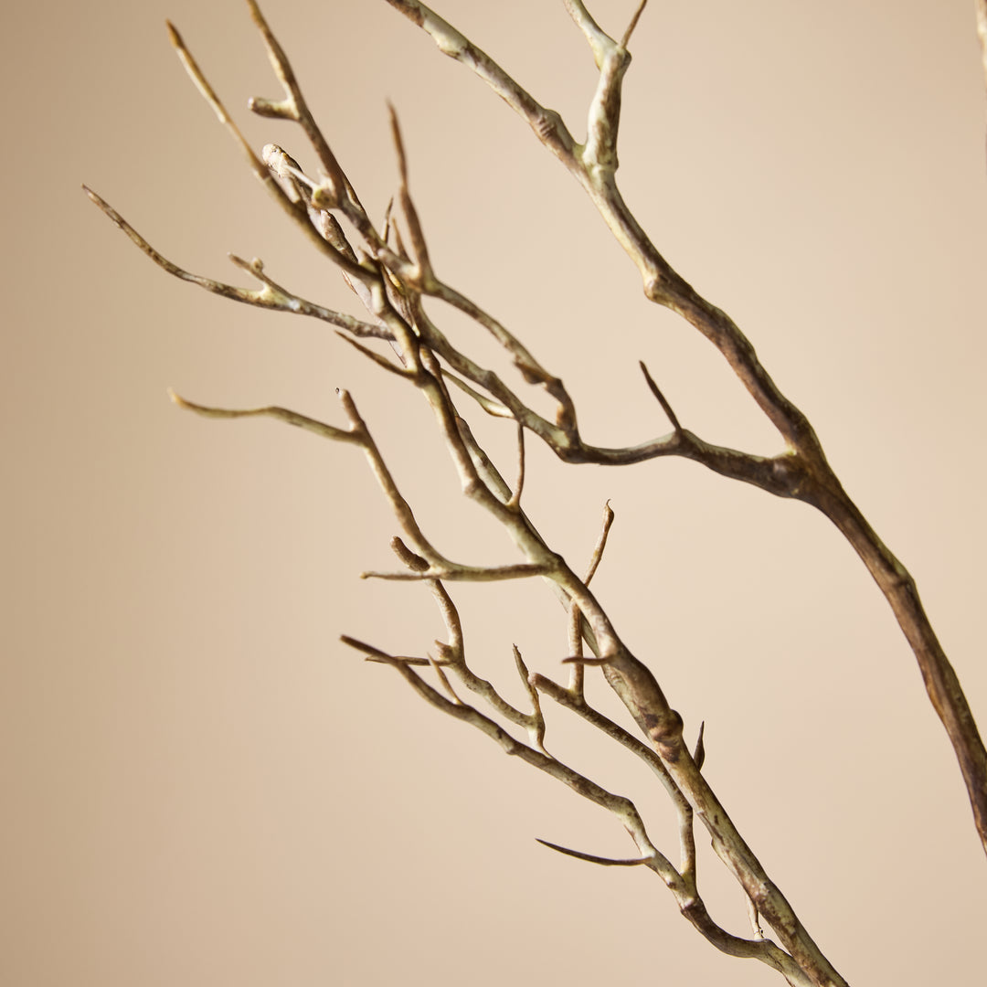 Twig Branch 9x15x108cm
