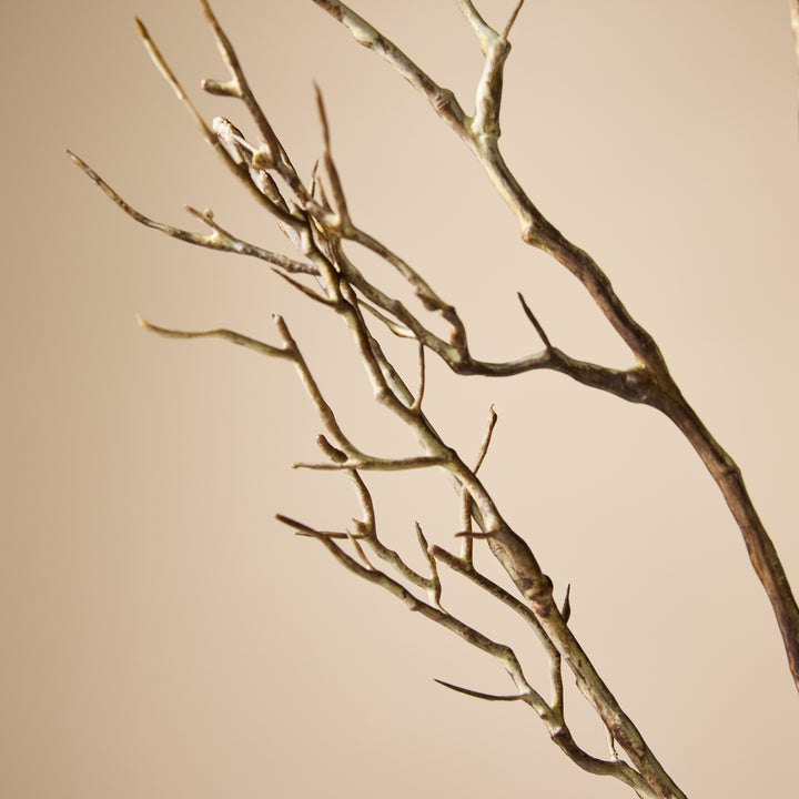 Twig Branch 9x15x108cm