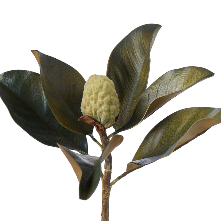 Magnolia Bud Foliage Green 90x13x64cm