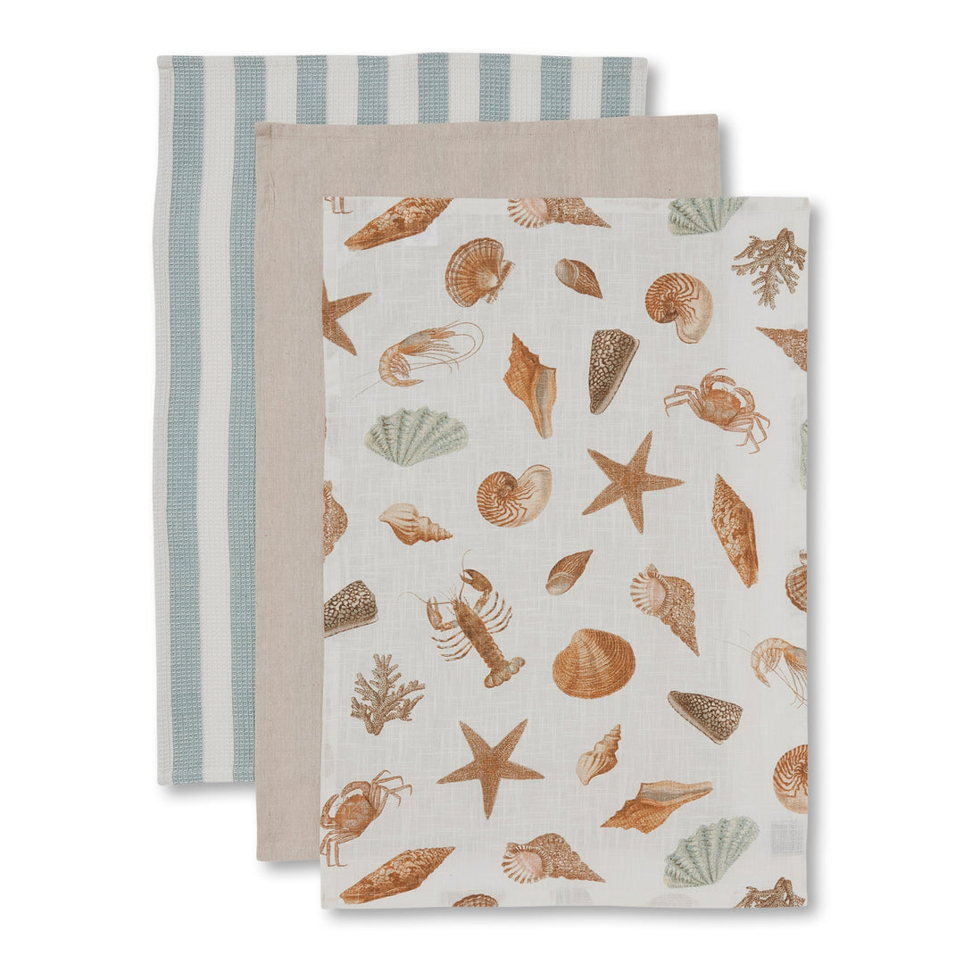 Shell Collection Teatowel Pack of 3