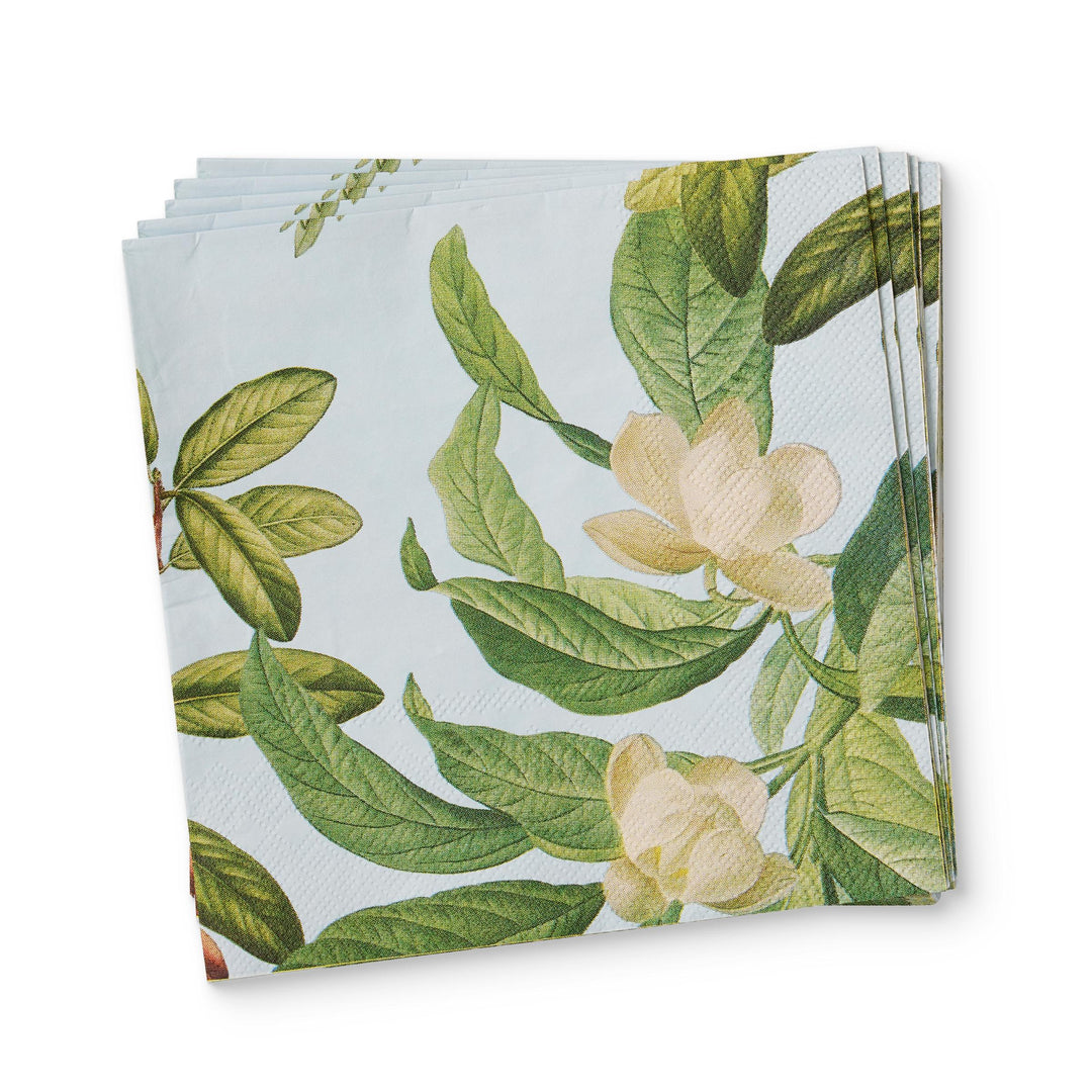 Thornton Paper Napkin Set 20Pc
